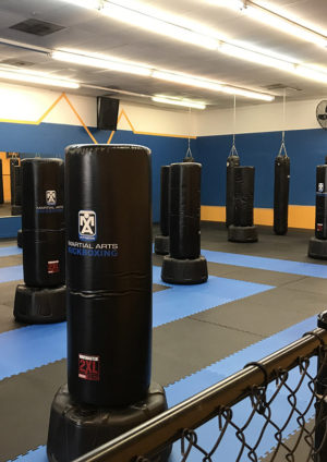 best kickboxing classes safety harbor